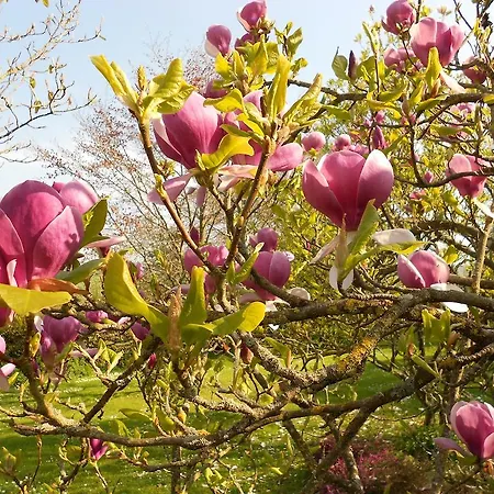 Prieure Saint-michel Bed & Breakfast *